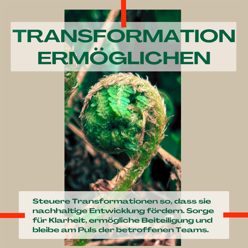 Transformation ermöglichen - Übergreifende Veränderungsprozesse steuern